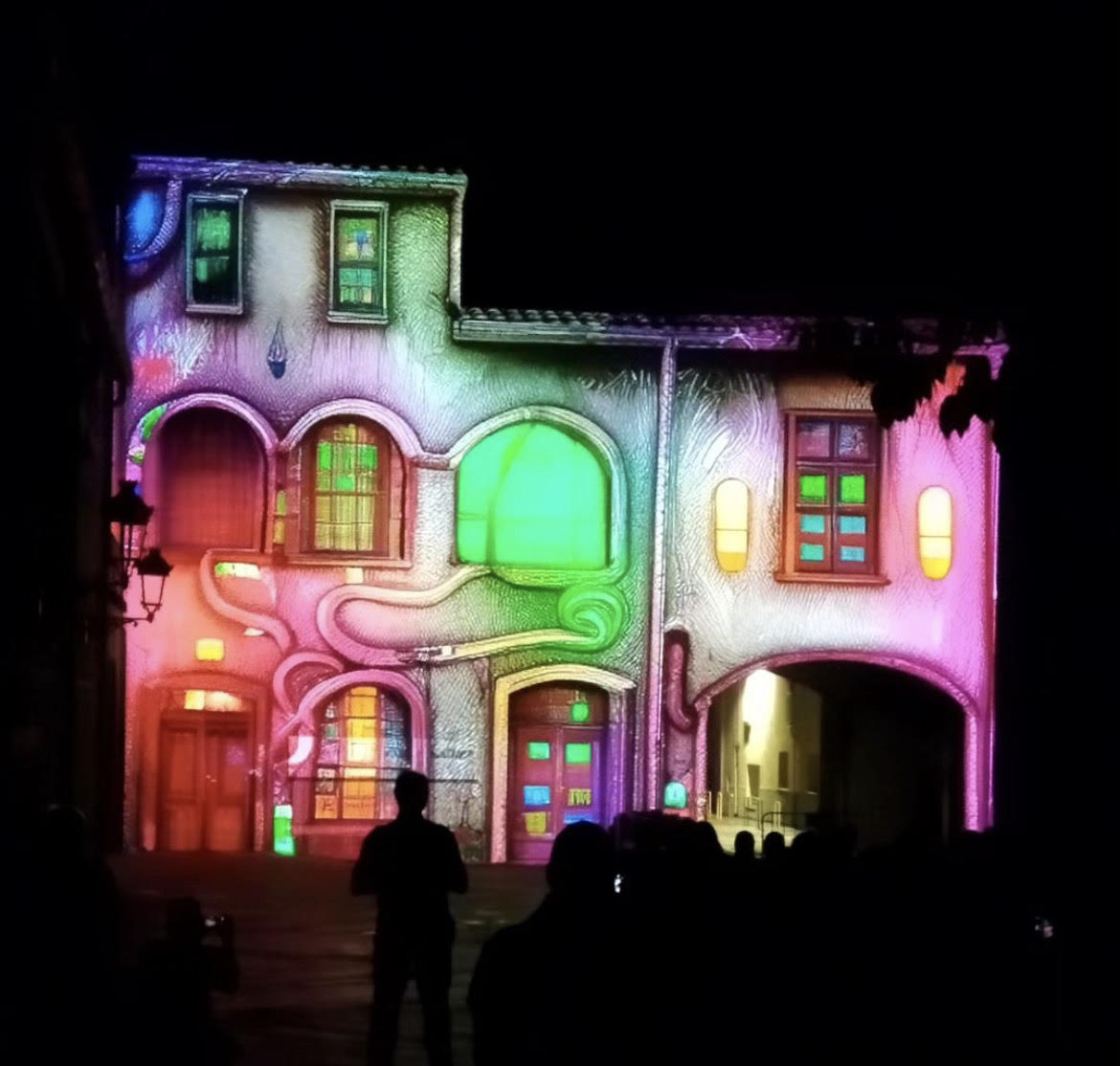 Amer llueix els resultats dels tallers de mapping realitzats pel Consell Comarcal de la Selva