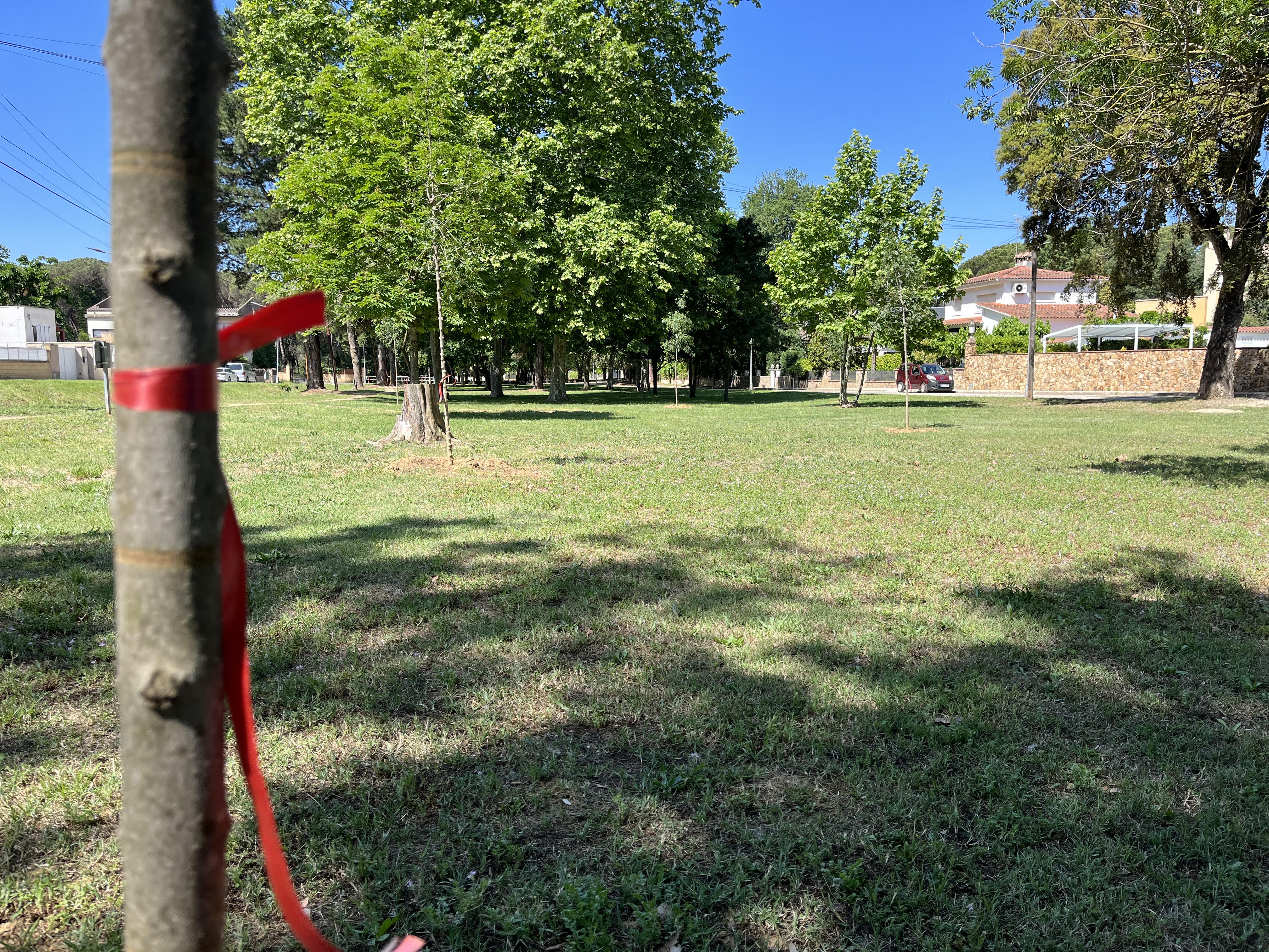 Vidreres impulsa la iniciativa ‘deu nens, un arbre’ per lluitar contra el canvi climàtic