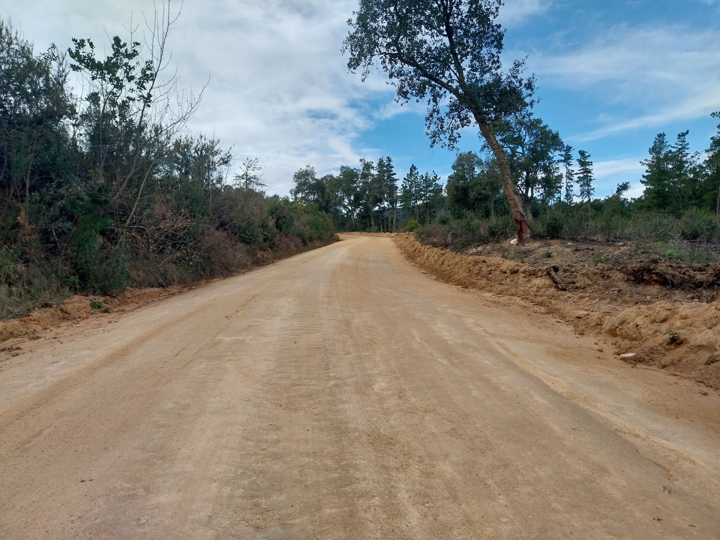 La Fundació Boscos fa treballs de millora onze de camins rurals de Santa Coloma de Farners 