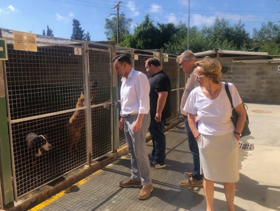 El Centre d'Acollida d'Animals de la Selva ha recollit un total de 922 animals durant el 2023