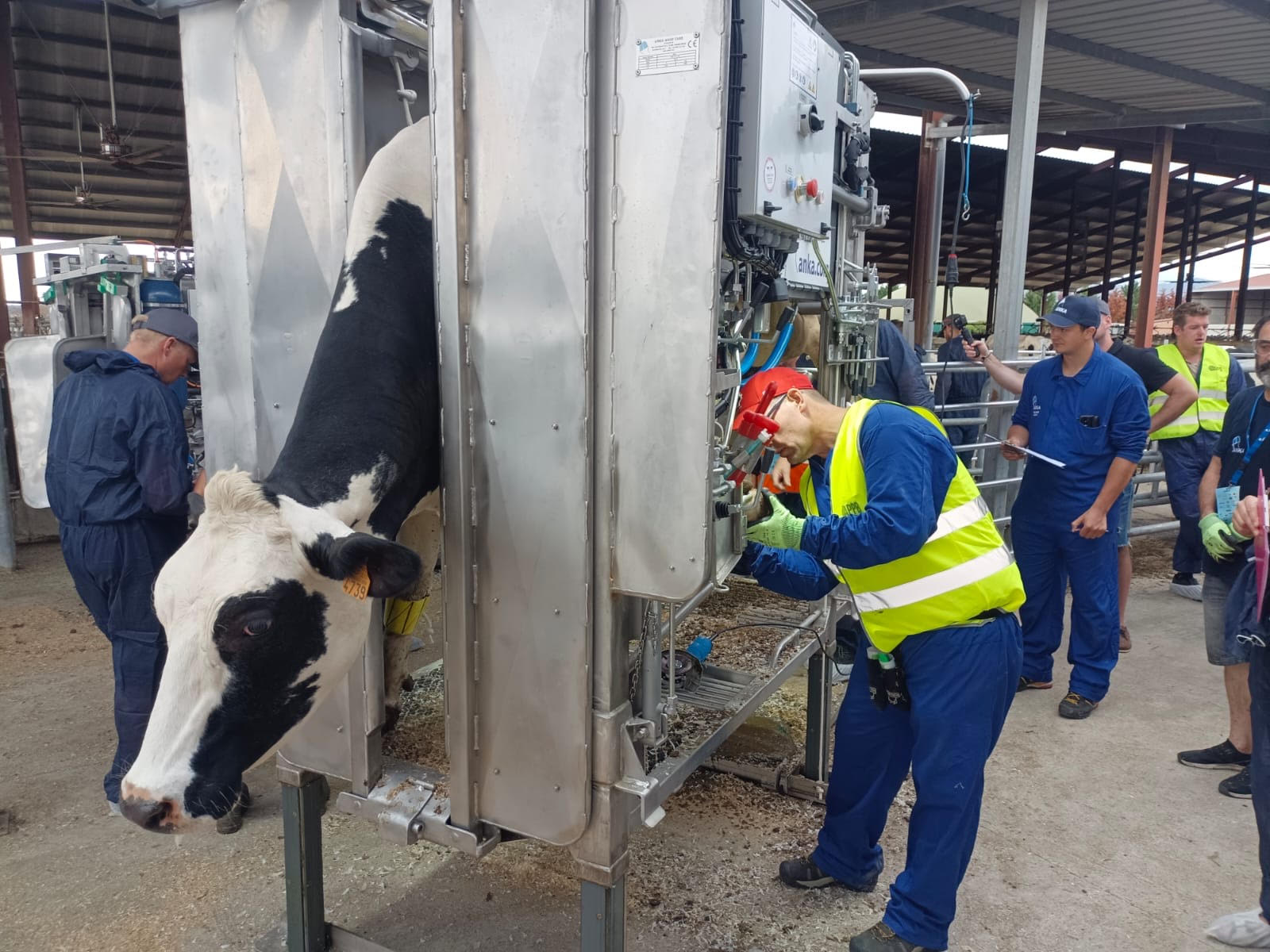 Més de 200 grangers internacionals visiten la granja Mas Bes a Vilobí d'Onyar