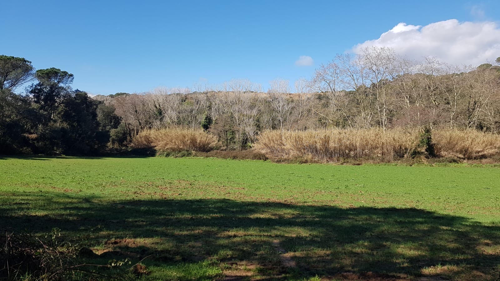 Un total de 16 associacions veïnals de Lloret de Mar en contra de la instal·lació d'un heliport al municipi