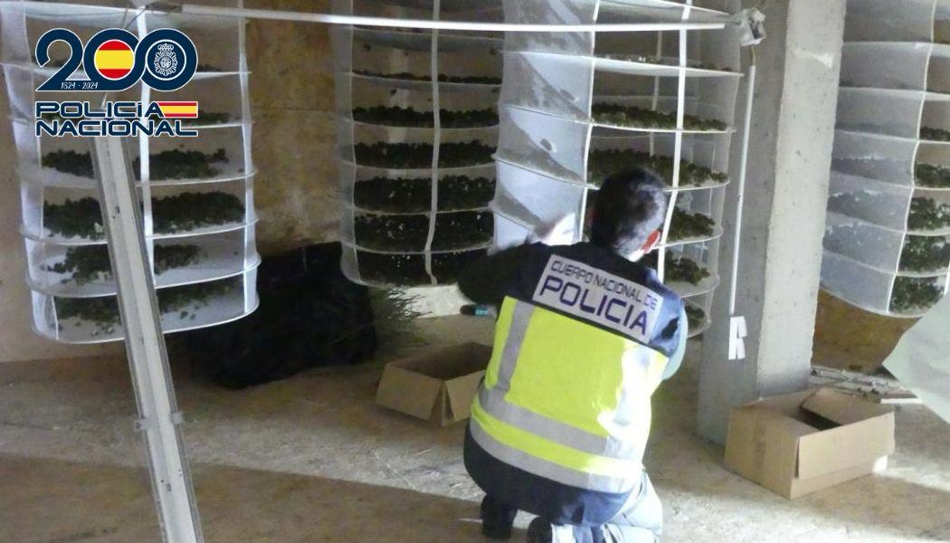 Desmantellada una organització criminal dedicada al tràfic de drogues a Lloret de Mar