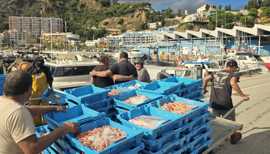 El GALP Costa Brava Sud-Maresme impulsa, per segon any, l'economia blava amb ajudes financeres