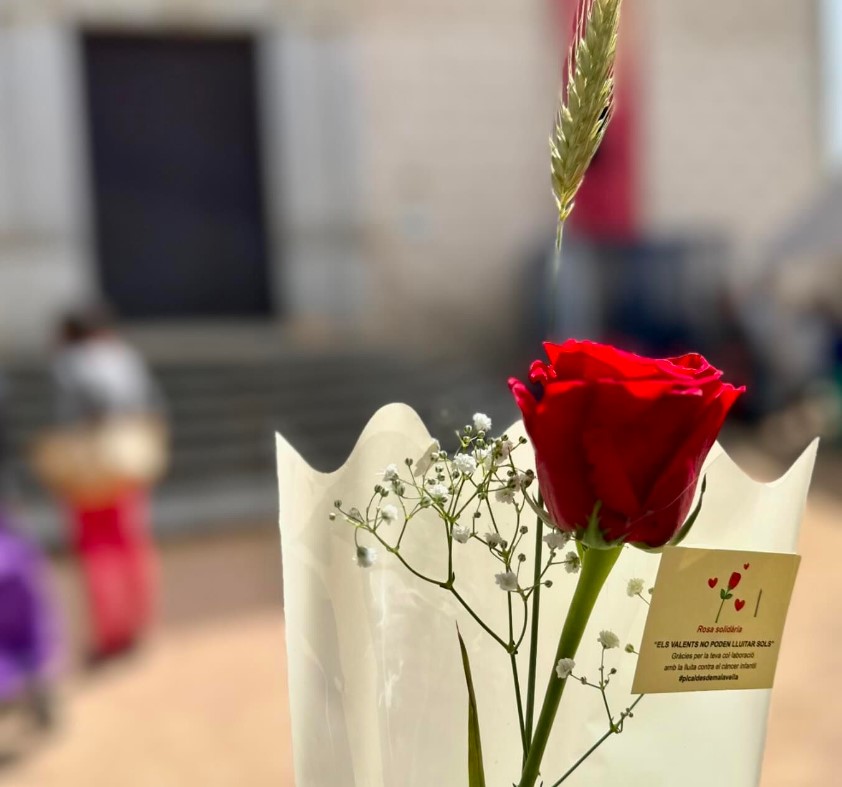 La Diada de Sant Jordi a la Selva 