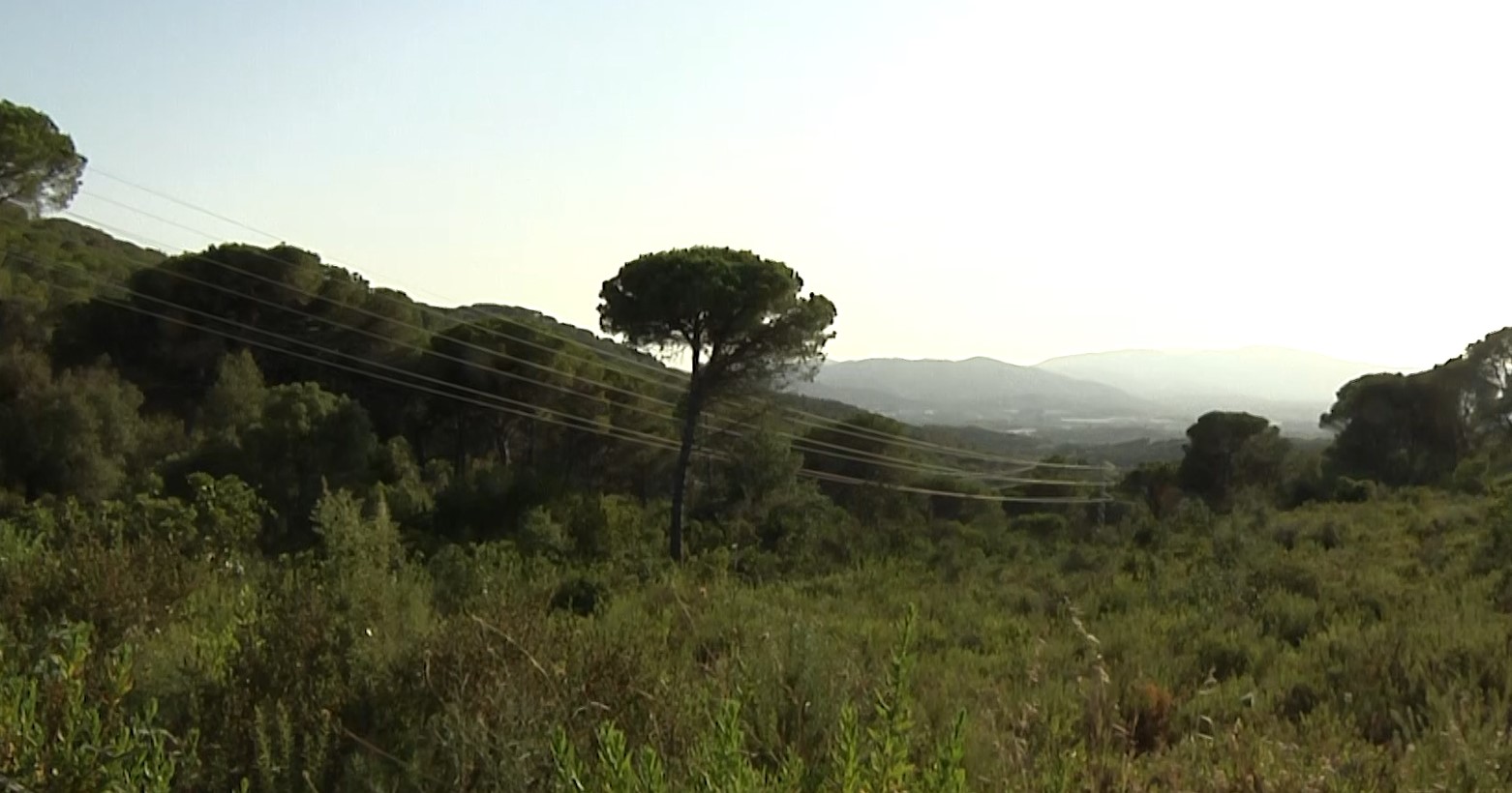 SOS Costa Brava aconsegueix aturar la construcció de 3.000 habitatges a la Selva Marítima en cinc anys